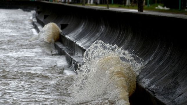 muerte en el rio de la plata: ¿que se sabe del hallazgo del cuerpo?