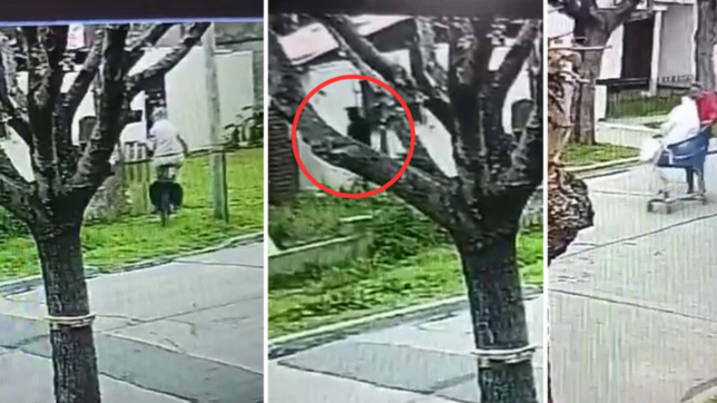 video: a plena luz del dia, asi marcan las casas para robar cables de luz en ringuelet