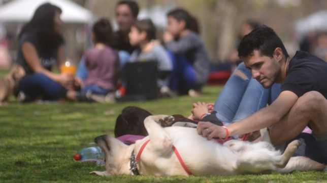 nubes, sol y maxima de 24°c: asi seguira el clima durante el fin de semana en la plata