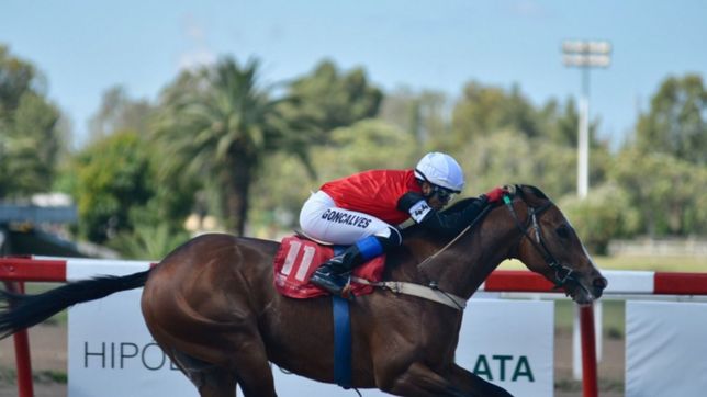 la actividad en el hipodromo platense podria reactivarse a partir de septiembre