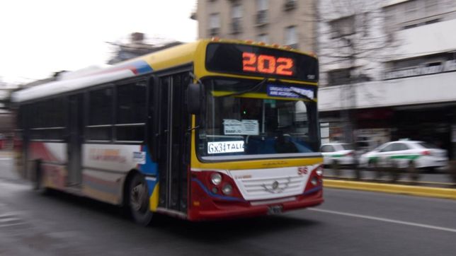 la linea 202 denuncia que los choferes con coronavirus se contagiaron en un cumpleanos