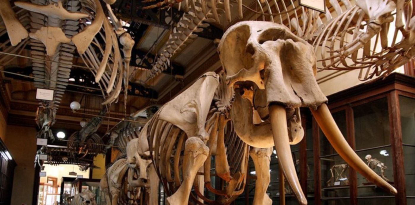 1563574640057.jpg?&cw=1920&ch=950