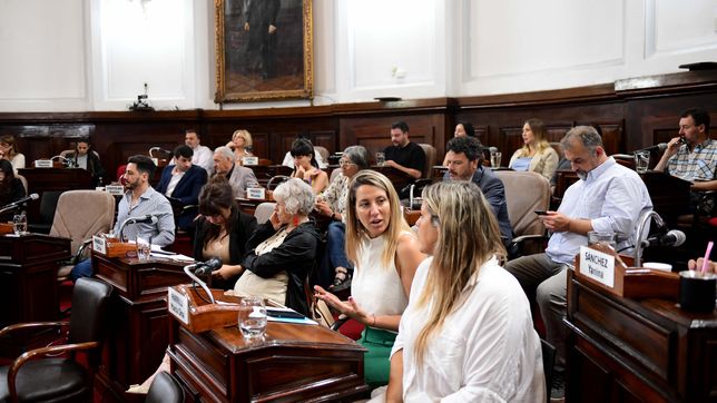 los temas que marcaran el debate en el concejo deliberante en 2025