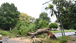 el municipio emitio un comunicado sobre la situacion de la ciudad tras el temporal el municipio emitio un comunicado sobre la situacion de la ciudad tras el temporal
