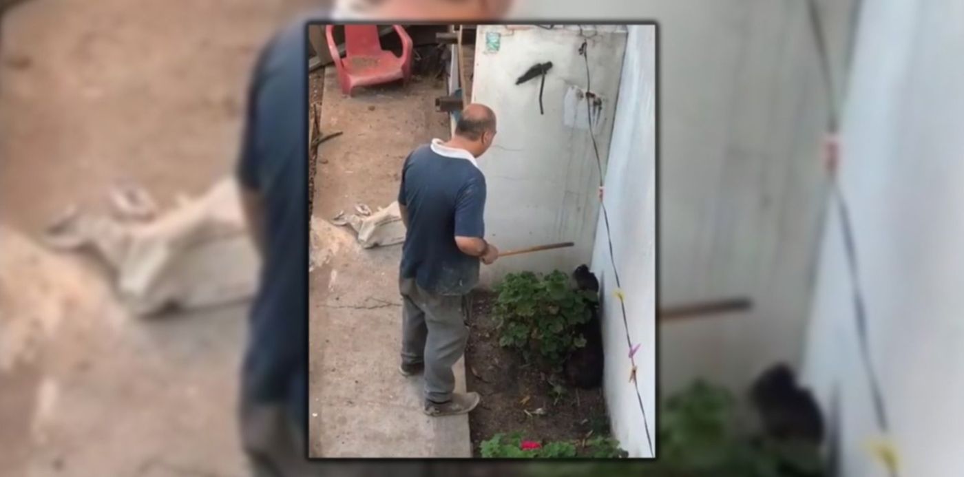 1662570277503.jpg?x=8&y=0&width=1484&height=742&rotate=0&scaleX=1&scaleY=1&ow=1500&oh=742&&cw=1920&ch=950