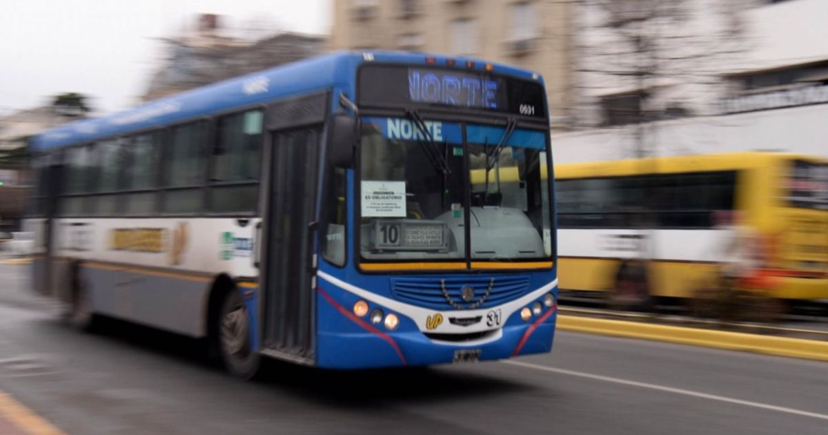 No hubo acuerdo y este martes habrá un paro de micros en La Plata