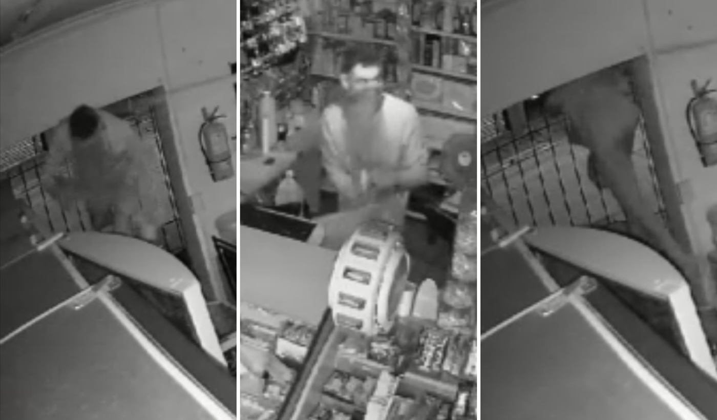 Robo en kiosoco de City Bell.png