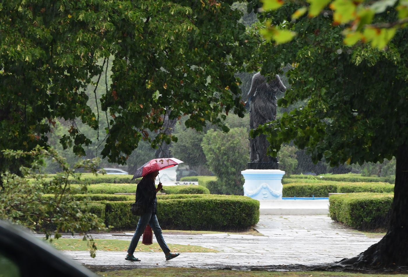 El alerta amarillo por tormentas rige para la madrugada y la mañana del sábado en La Plata.