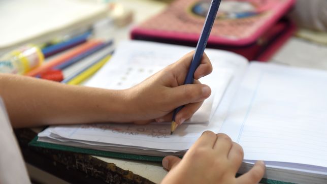 un informe revela que casi la mitad de los alumnos de primaria tendra que recuperar horas de clase