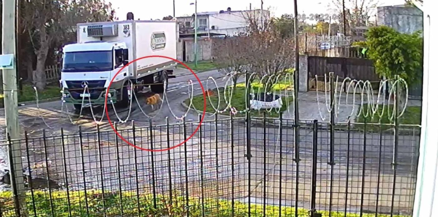 1661449249933.jpg?x=8&y=0&width=1484&height=742&rotate=0&scaleX=1&scaleY=1&ow=1500&oh=742&&cw=1920&ch=950