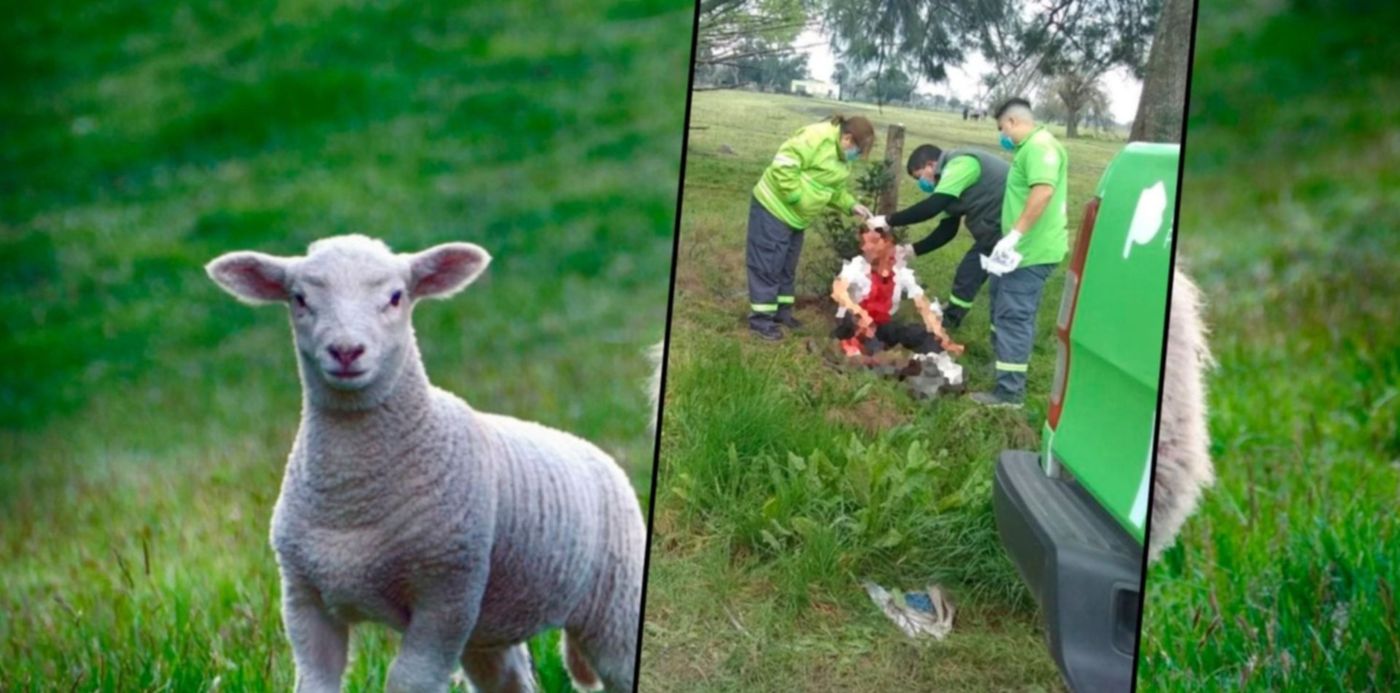 1599243122554.jpg?x=3&y=0&width=1484&height=742&rotate=0&scaleX=1&scaleY=1&ow=1500&oh=742&&cw=1920&ch=950