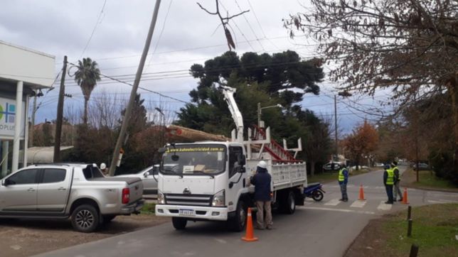 tras el corte de luz en gorina por los fuertes vientos, ya se reestablecio el servicio