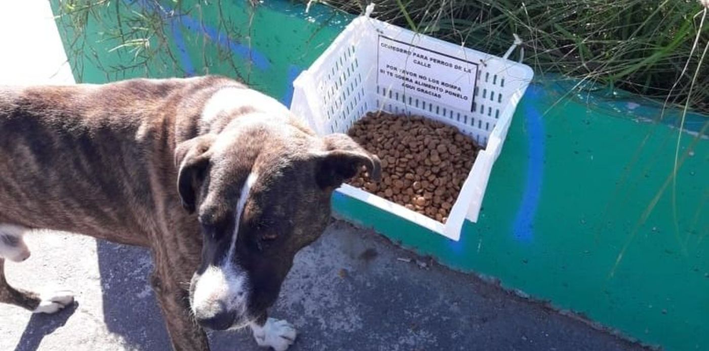 1527376682676.jpeg?&cw=1920&ch=950