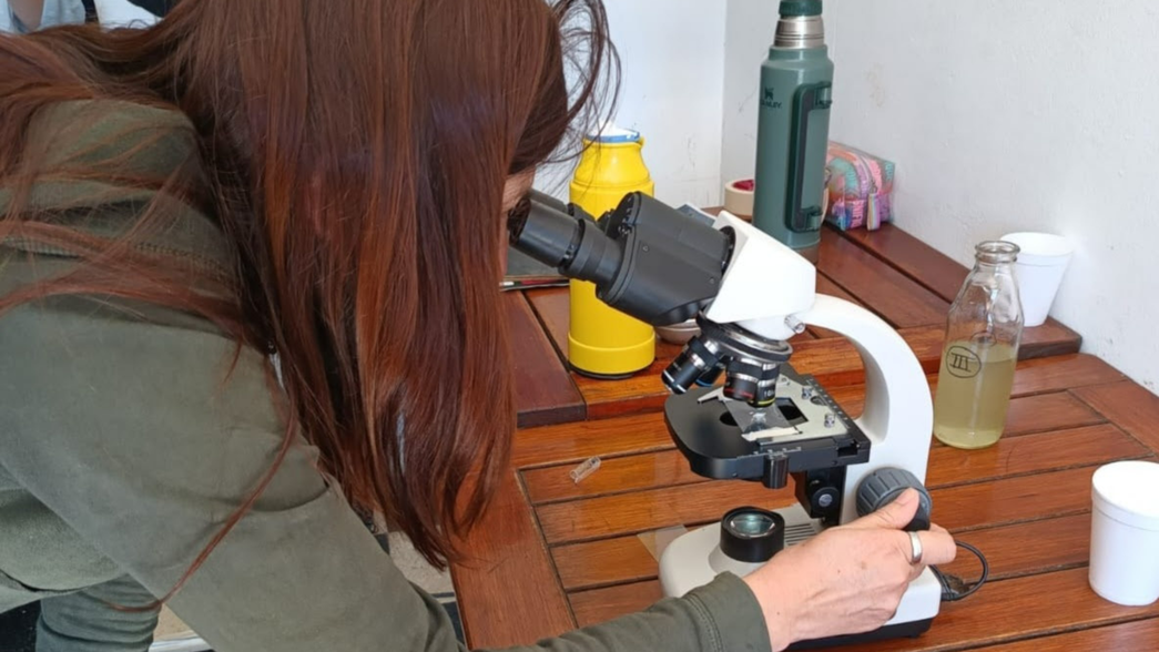 Empleados municipales se formaron en el monitoreo de cianobacterias