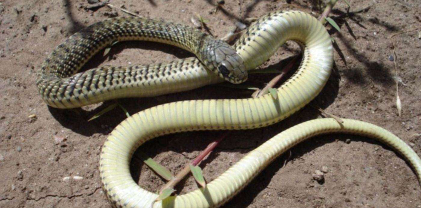 1538603435904.jpg?y=78&rotate=0&scaleY=1&oh=690&x=8&width=982&height=491&scaleX=1&ow=1000&&cw=1920&ch=950