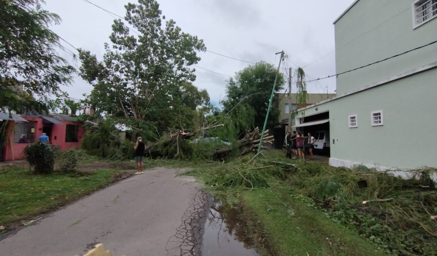 Árboles caidos durante la tormenta en La Plata.png