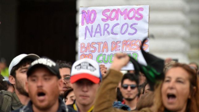 reclaman medidas para terminar con la criminalizacion de los consumidores de cannabis