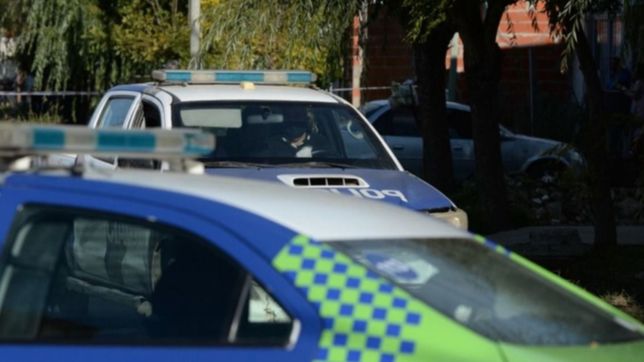 no se puede vivir asi: amenazas, culatazos y sangre en una brutal entradera en la plata