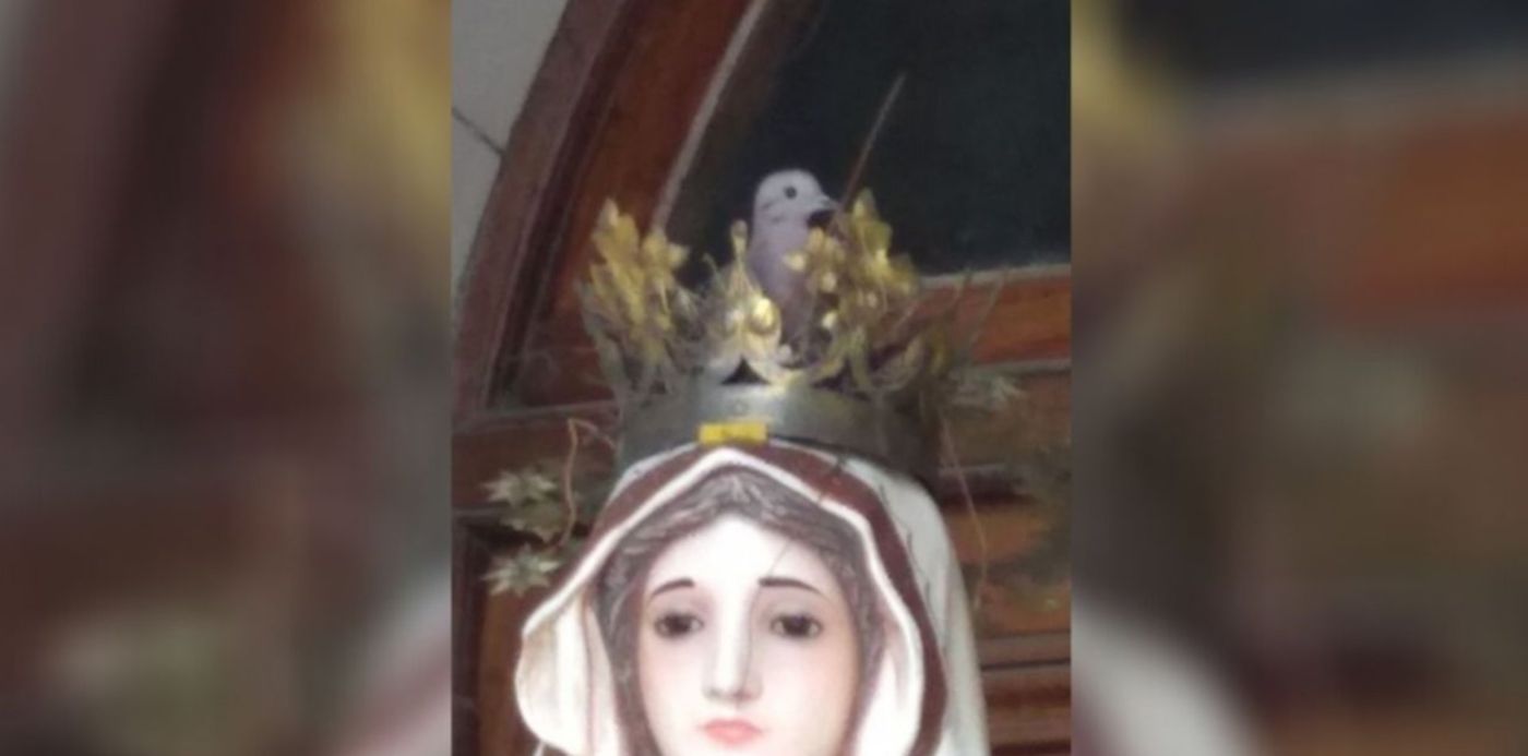 1602084066728.jpg?x=44&y=10&width=1267&height=633&rotate=0&scaleX=1&scaleY=1&ow=1350&oh=650&&cw=1920&ch=950