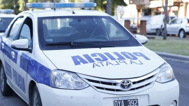apilaron dos baldes, treparon una medianera y se robaron una bicicleta de un garaje