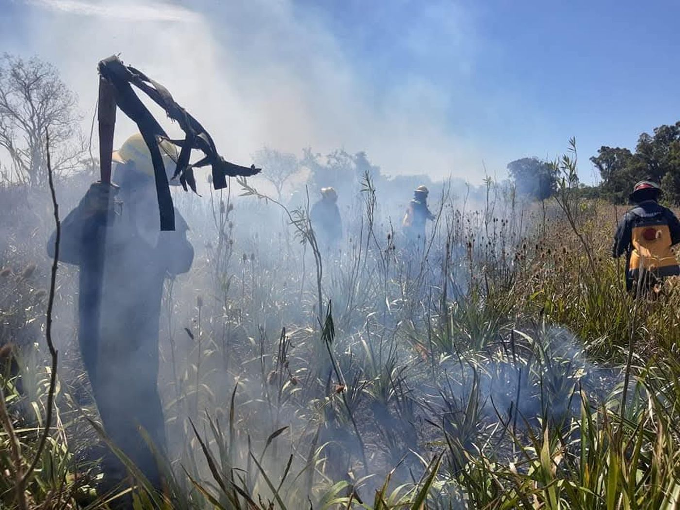 El trabajo de los bomberos en un incendio de pastizales en Berisso