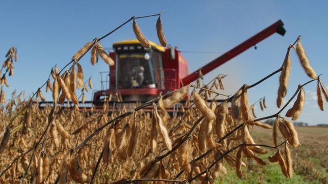 el gobierno evalua subir el dolar soja a 200 pesos para incentivar las exportaciones