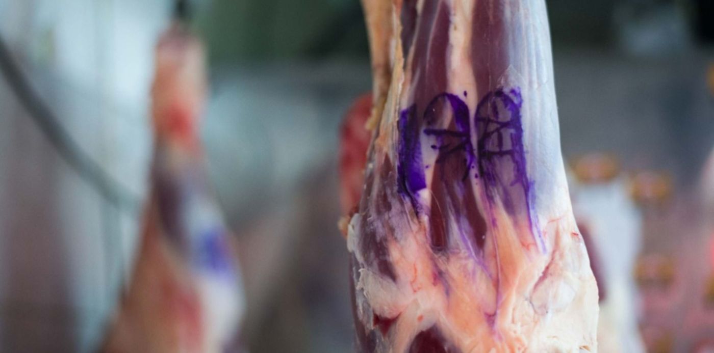 1622224739063.jpg?x=10&y=199&width=1480&height=740&rotate=0&scaleX=1&scaleY=1&ow=1500&oh=998&&cw=1920&ch=950