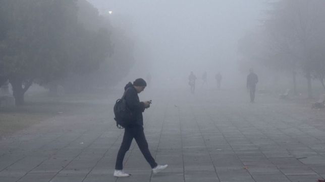 fresco, con maxima de 17°c y alerta por la niebla, asi va a seguir el clima en la plata