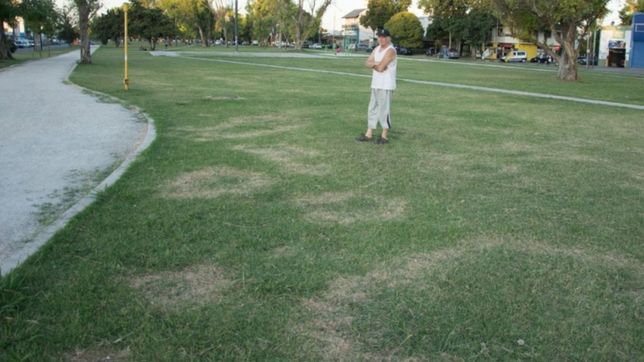 aparecieron misteriosas huellas circulares a metros del estadio unico
