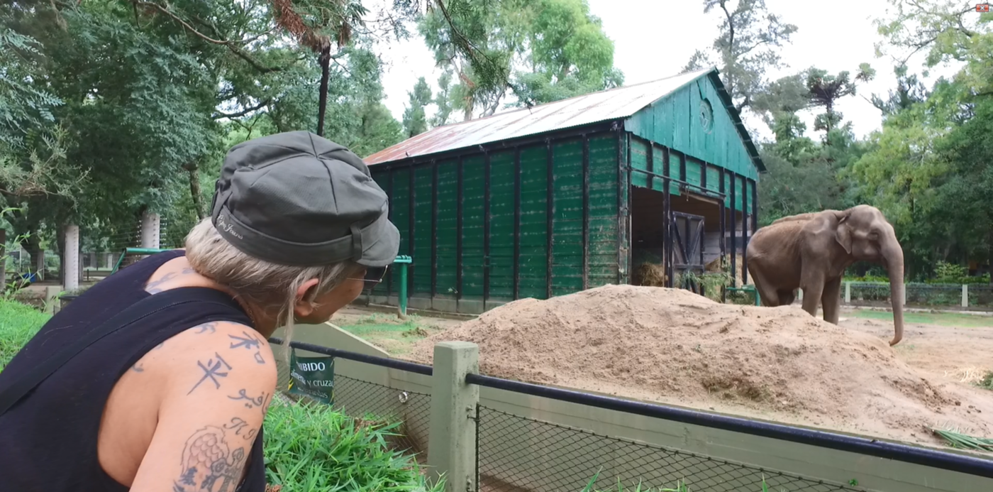 1524348420046.png?&cw=1920&ch=950