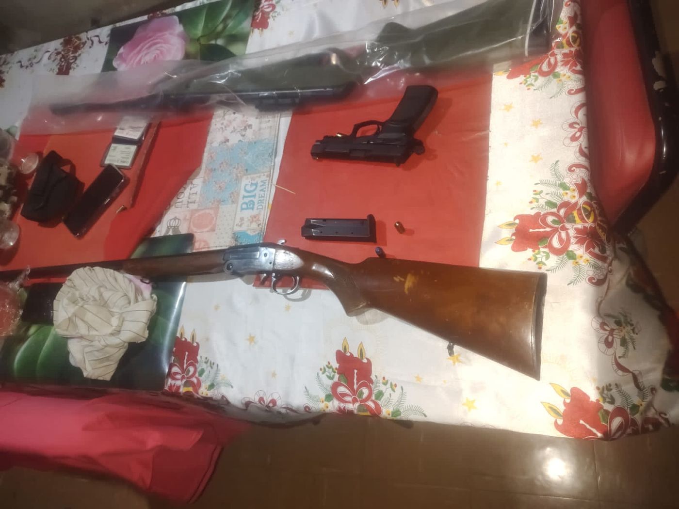 Parte del arsenal hallado en la casa del presunto autor del crimen que sacude a La Plata