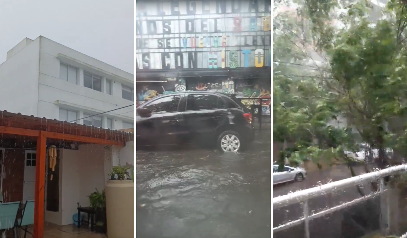 Diseño sin título (88)