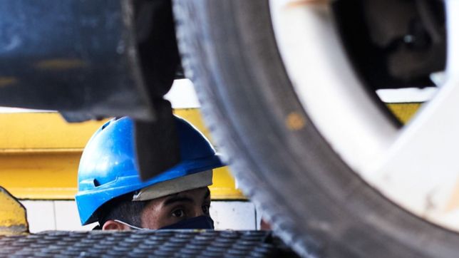 la empresa que maneja la vtv en la plata desde hace 28 anos lo hara por un ano mas