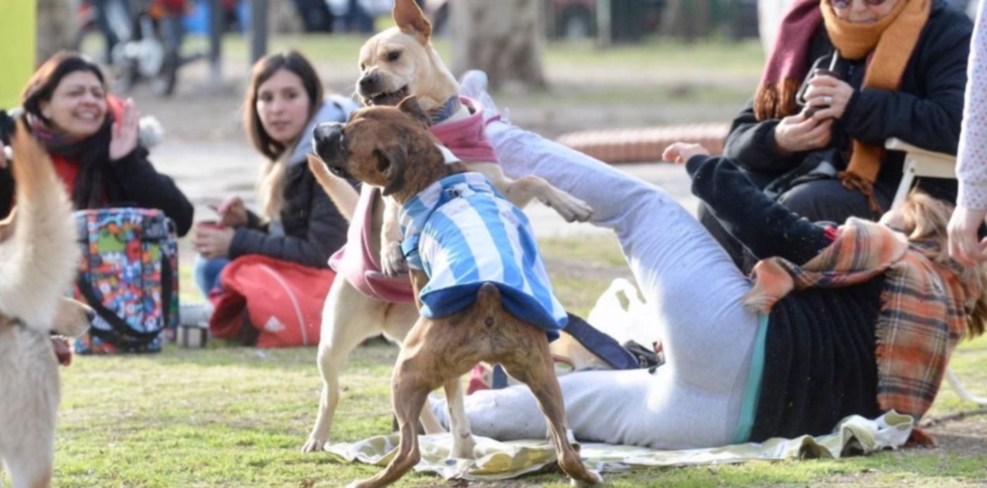 1562534944792.jpeg?x=5&width=1266&height=633&rotate=0&scaleY=1&y=164&scaleX=1&ow=1280&oh=834&&cw=1920&ch=950