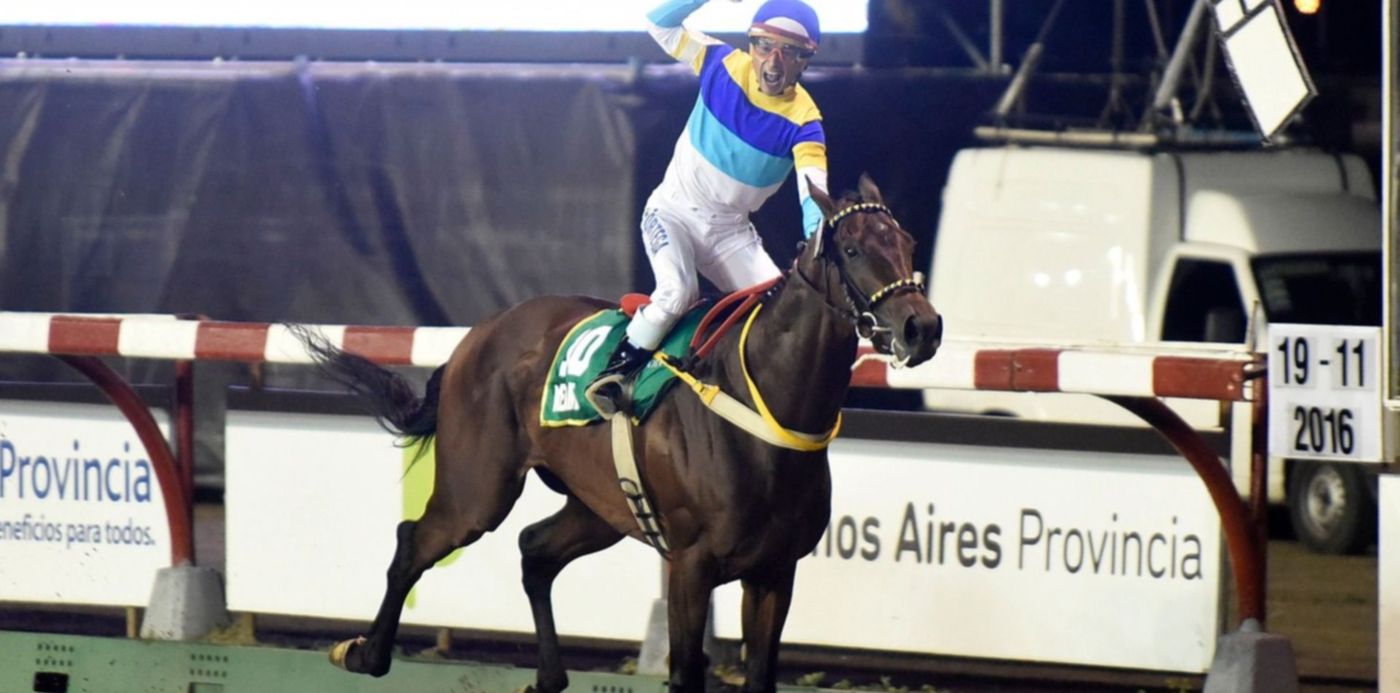 1528767104534.jpg?height=742&scaleY=1&oh=991&rotate=0&scaleX=1&ow=1500&x=18&y=93&width=1484&&cw=1920&ch=950