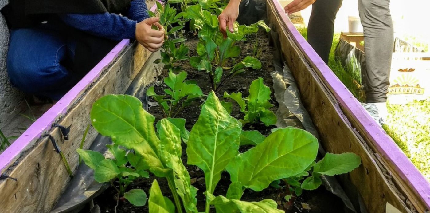 1604592139493.jpg?x=4&y=111&width=1489&height=745&rotate=0&scaleX=1&scaleY=1&ow=1500&oh=1046&&cw=1920&ch=950