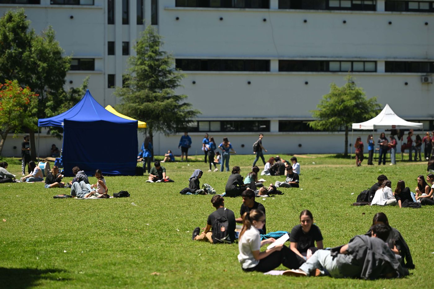 Elecciones estudiantiles UNLP 2025 (13) Facultad de Humanidades