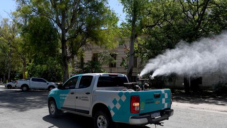 Fumigación (12).JPG