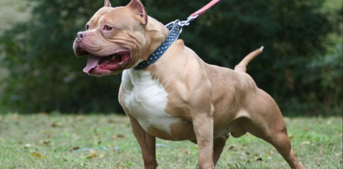 1565197114143.jpg?x=0&y=26&width=1500&height=750&rotate=0&scaleX=1&scaleY=1&ow=1500&oh=843&&cw=1920&ch=950