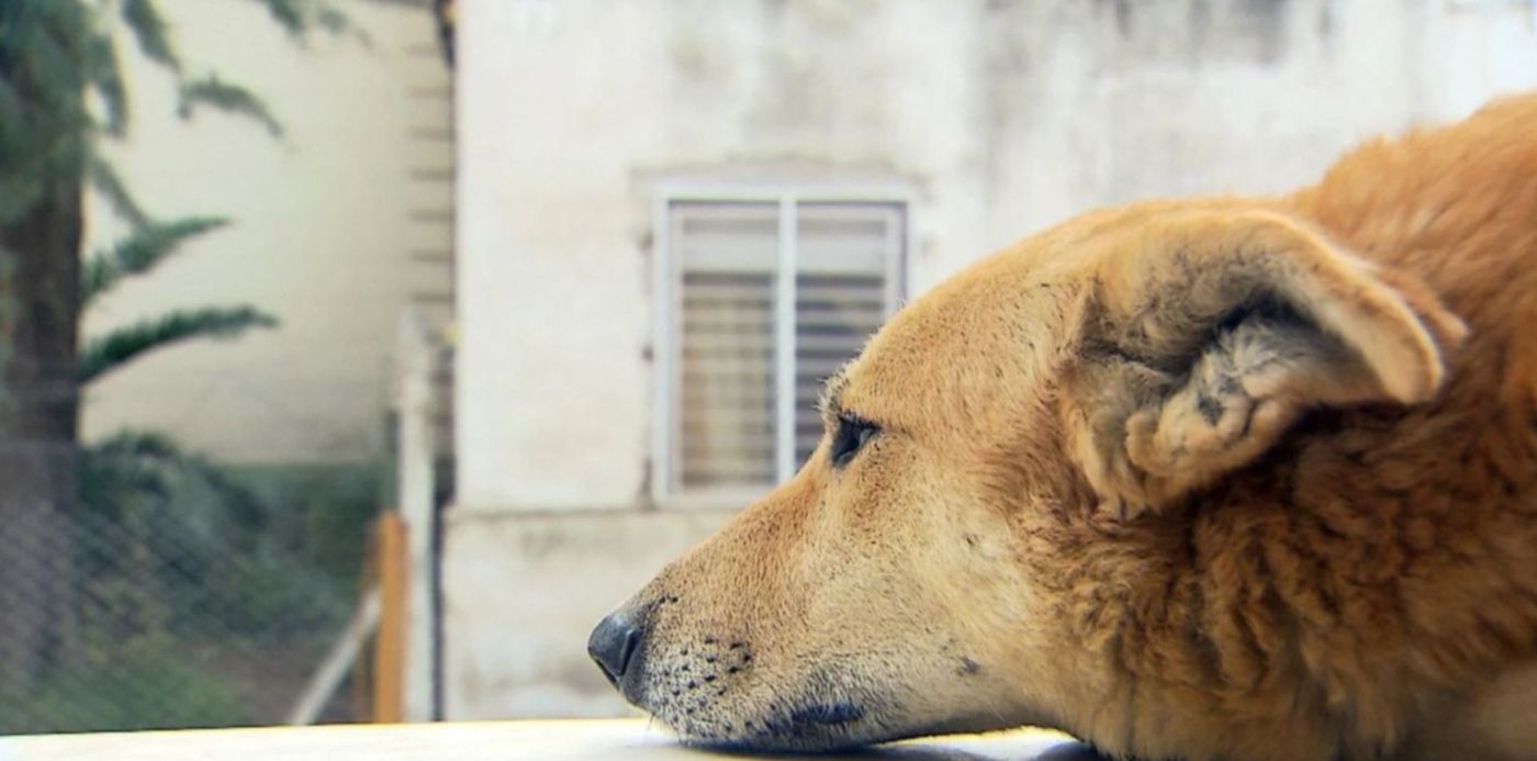 1576788647746.jpg?x=10&y=50&width=1474&height=737&rotate=0&scaleX=1&scaleY=1&ow=1500&oh=837&&cw=1920&ch=950