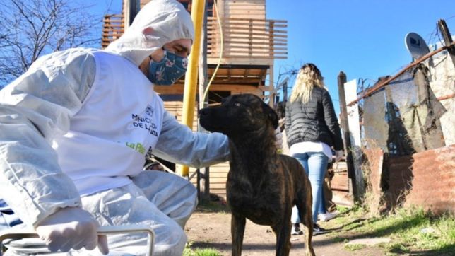 habilitan turnos online para vacunar a las mascotas en la nueva sede de zoonosis