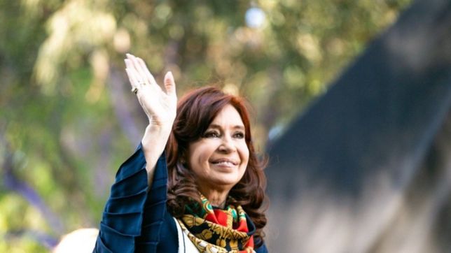 el dano que produjo google a cristina aun no esta cuantificado, dijo el abogado de cfk