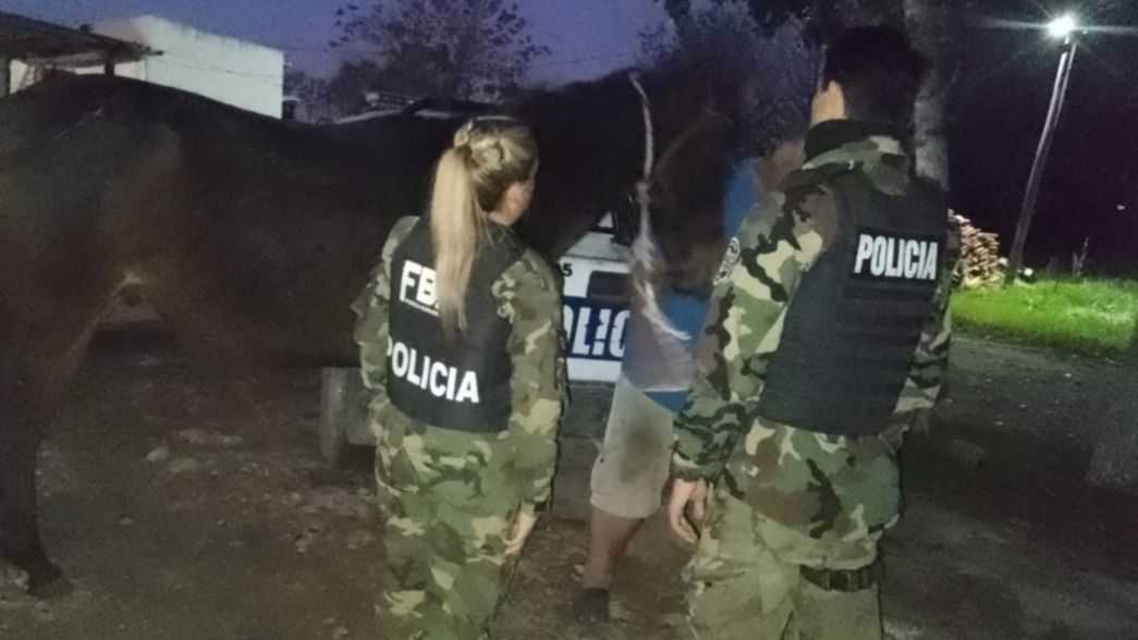 Allanaron una casa de La Plata y rescataron un caballo pura sangre que sufría maltrato
