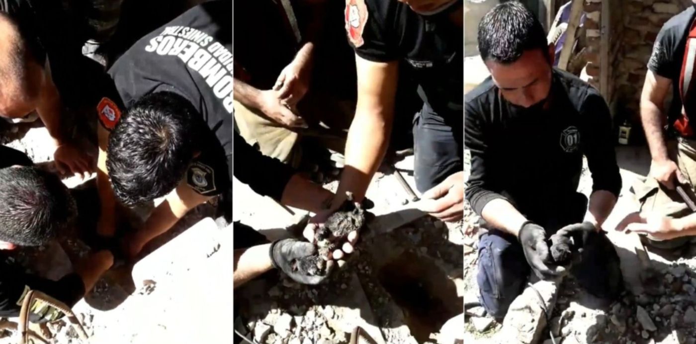 1600295802868.jpg?&cw=1920&ch=950