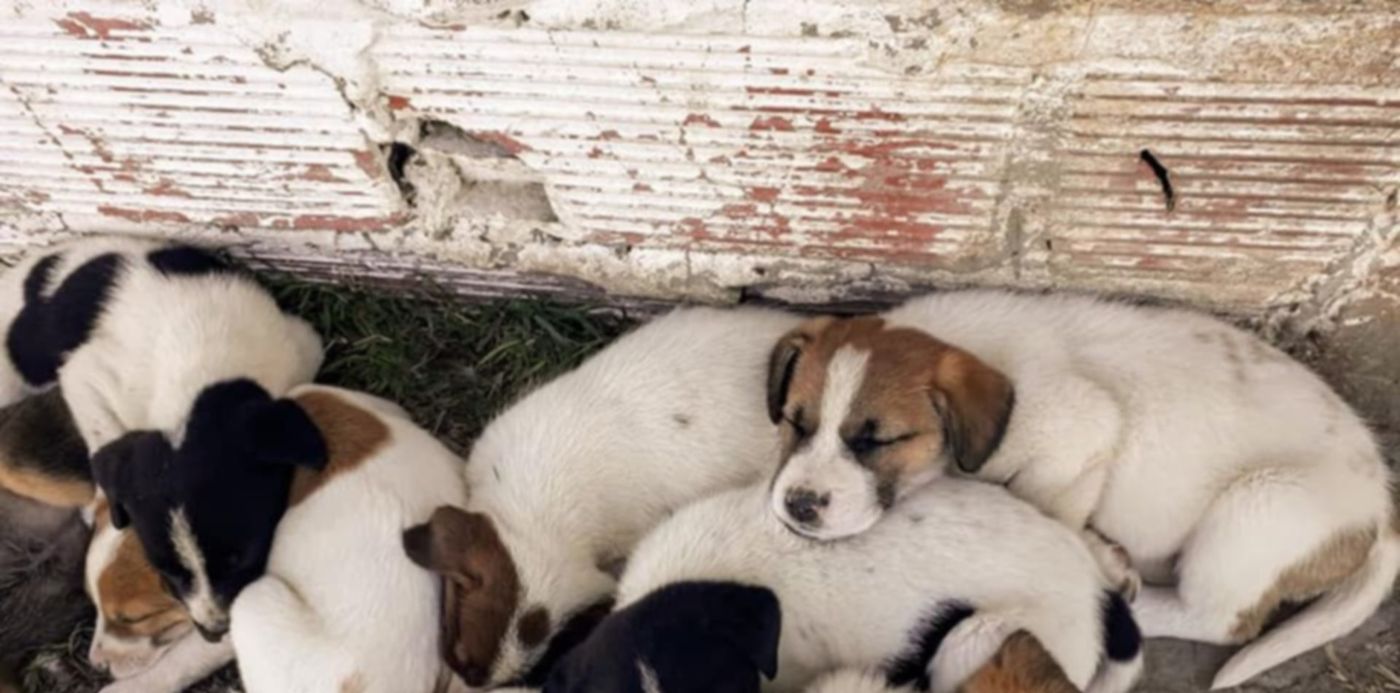 1589026701176.jpg?&cw=1920&ch=950