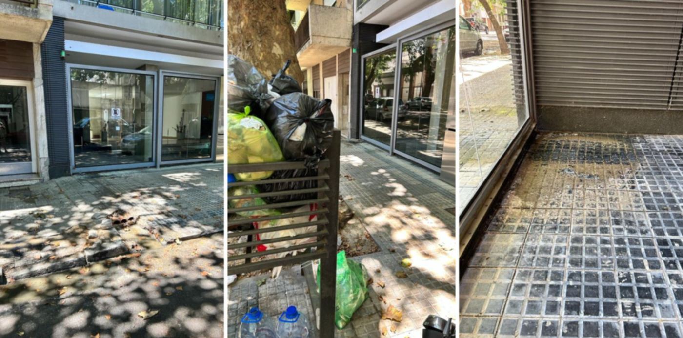 1674147139364.jpg?x=8&y=0&width=1484&height=742&rotate=0&scaleX=1&scaleY=1&ow=1500&oh=742&&cw=1920&ch=950