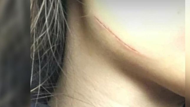 el dramatico relato del intento de secuestro a la salida de un colegio platense