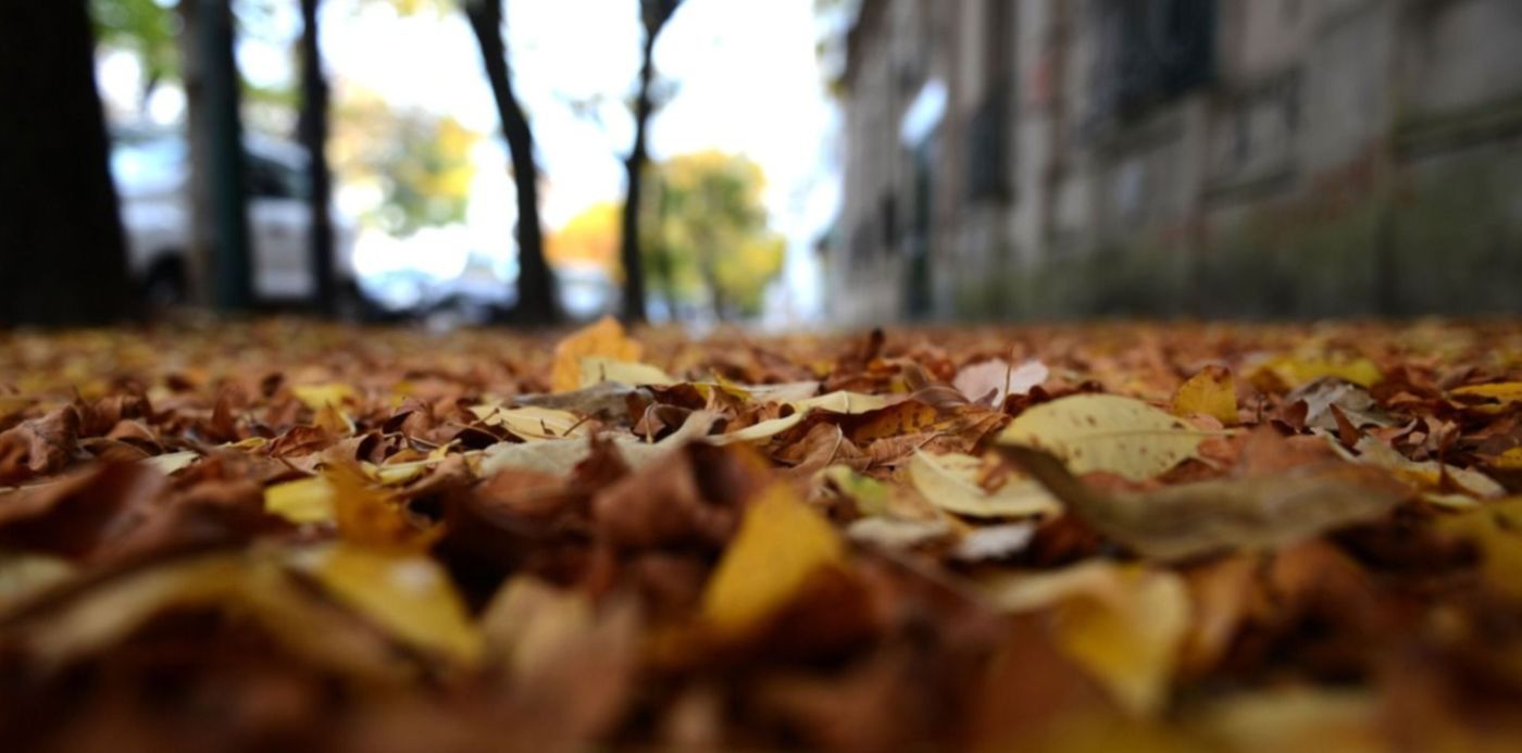 1587694282601.jpg?x=7&width=1492&height=746&rotate=0&ow=1500&oh=996&y=62&scaleX=1&scaleY=1&&cw=1920&ch=950