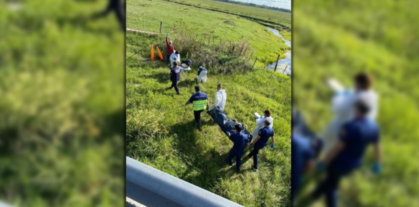 1647266951537.jpg?x=8&y=0&width=1484&height=742&rotate=0&scaleX=1&scaleY=1&ow=1500&oh=742&&cw=1920&ch=950