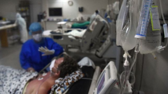 ya se puede tramitar la pension vitalicia para familiares de victimas de covid-19